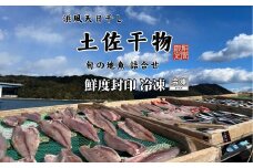 M216 鮮度封印！冷凍 天日干し 手作り干物詰め合わせ地魚セット 無添加土佐干物 期間限定品