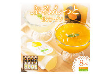 飲むゼリーぽんかん&こなつ 8個入り 数量限定 国産 ポンカン 東洋町産 ギフト 贈答 内祝 贈り物 香料未使用 四国 お取り寄せ フルーツ みかん 蜜柑 ミカン ゼリー 送料無料 F147
