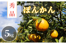 TM003-1 徳村のぽんかん 秀品＜gが選べる＞国産 東洋町産 訳アリ 甘い コク ジューシー 果肉 高知県 東洋町 四国 お取り寄せ フルーツ 果物 家庭用 自宅用 送料無料
