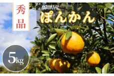 TM003-1 徳村のぽんかん 秀品＜gが選べる＞国産 東洋町産 訳アリ 甘い コク ジューシー 果肉 高知県 東洋町 四国 お取り寄せ フルーツ 果物 家庭用 自宅用 送料無料