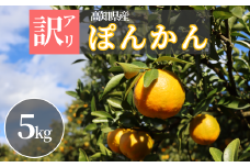 TM001-1 徳村の訳ありぽんかん＜5kg＞国産 東洋町産 訳アリ 甘い コク ジューシー 果肉 高知県 東洋町 四国 お取り寄せ フルーツ 果物 家庭用 自宅用 送料無料