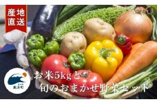 MT002　野菜とお米の詰め合わせ 道の駅東洋町おまかせセット 季節の野菜 米 おまかせ