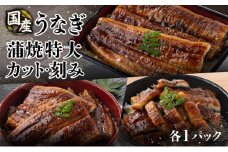 セット 蒲焼特大200g1尾・カット60g・刻み60g（各1）《着日指定可能》ウナギ 鰻 高知県 東洋町 四国 お取り寄せ 家庭用 自宅用 贈り物 ギフト タレ・山椒付き うな重 鰻丼 うな丼 うな茶漬け 【送料無料】U016