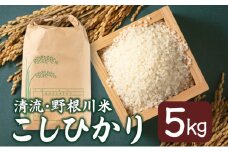MZ002【8月中旬より発送開始】令和7年産 野根川米5kg こしひかり 米 新米 国産 コメ
