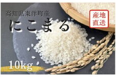S249-2 ＜2025年11月発送＞令和7年産にこまる ＜10kg＞国産 米 新米 お米 高知県産