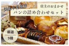 HM001 店主おまかせパンの詰め合わせセット9種 パンセット 国産小麦 パン 自家製 個包装 焼きたて 便利 グルメ 詰め合わせ 朝食 おやつ ぱん 食品