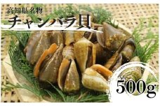 S250-1【高知名物】チャンバラ貝　500g【季節限定・売り切れ次第終了】