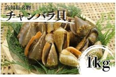 S250-2【高知名物】チャンバラ貝　1kg【季節限定・売り切れ次第終了】