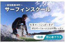 LS002-1 サーフィンスクール 初心者スクール体験クラス【L'ami Surfing School Official】