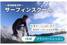 LS002-2 サーフィンスクール プライベートレッスン【L'ami Surfing School Official】