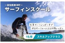LS002-3 サーフィンスクール コーチング スキルアップ・コンペティタークラス【L'ami Surfing School Official】