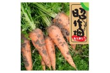 106006　土付きにんじん　2㎏