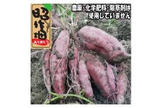 106005　さつまいも食べ比べセット5㎏