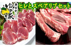 115008　奈半利ゆず豚ヒレとスペアリブセット