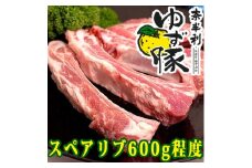 115006　奈半利ゆず豚スペアリブ（600g程度）