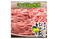 115001　奈半利ゆず豚ミンチ（5㎏程度）