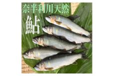 107002　奈半利川の友釣り天然アユ（冷凍）９尾