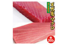 104007　天然南マグロ　中トロ200g赤身200g