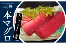 104006　本鮪　大トロ180g中トロ200g赤身200g