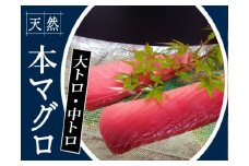 104005　本鮪　大トロ180g中トロ200g