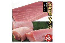 104012　天然南マグロ 中トロ200g、ビントロ 200g