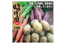 106901　昭作畑　定期便