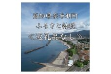 999999　高知県奈半利町への応援寄附金（返礼品なし）