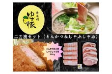112012　【高知のブランド豚/ゆず豚】二刀流セット（とんかつ＆しゃぶしゃぶ）約1.1㎏