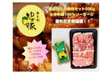 112003　【高知のブランド豚/ゆず豚】厳選部位の焼肉セット500ｇ＋ソーセージ5本入り