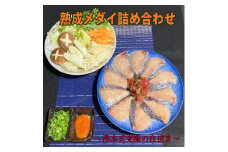 113010　熟成メダイ詰め合わせ　メダイ  鯛　刺身　津本式　津本式究極の血抜き　熟成   新鮮　高知県産  お取り寄せ  特産品  ご当地グルメ  冷凍