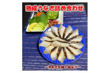 113009　熟成うなぎ詰め合わせ　うなぎ  鰻　刺身　うなぎのたたき　藁焼き　津本式　津本式究極の血抜き　熟成   新鮮　高知県産  お取り寄せ  特産品  ご当地グルメ  冷凍