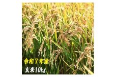 120010-7　【令和7年産】玄米　10ｋｇ