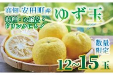 安田町産 ゆず玉 料理にお酒にお風呂にどうぞ 期間限定 ゆず 12-15玉 柚子 果物 柑橘 フルーツ スイーツ デザート アレンジ 柚子風呂 ゆず風呂 柚子湯 早期予約 季節限定 ふるさと納税 人気 高知 安田町 TR-26