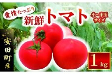 【2025年10月下旬より発送】安田町産 愛情たっぷり新鮮トマト1kg 先行受付  完熟 トマト 高知県産 1kg 産地直送 新鮮 もぎたて 人気 野菜 とまと 栄養 ヘルシー 高知 安田町  TR-03