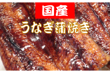 国産うなぎの蒲焼 約150g×2匹 うなぎ 鰻 150g×2匹 300g 国産 蒲焼  冷凍 特製タレ 山椒 付き うな重 うな丼 ひつまぶし 土用の丑の日 かばやき ご飯 米 ごはん 人気 高知県 安田町 TR-08