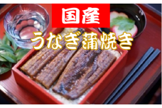 国産うなぎの蒲焼 約150g×5匹 国産 うなぎ 蒲焼き 5本 150g x 5匹 750g セット タレ 山椒 付き 国産うなぎ うなぎ蒲焼き うなぎ蒲焼 うな重 ひつまぶし 鰻 丑の日 土用の丑の日 冷凍 小分け 高知県 安田町 TR-09