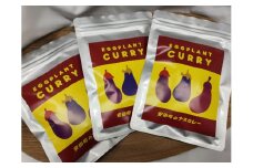 安田町のナスカレー 中辛 3袋詰め合わせ 野菜 沢山 ナス カレー 200g x 3袋 計 600g セット レトルトカレー トマト ベジタブル カレー レトルト食品 スープカレー 詰め合わせ お取り寄せ 高知県 安田町 TR-13