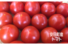 【2025年10月下旬より発送】安田町産 愛情たっぷり新鮮トマト2kg 先行受付 完熟 トマト 高知県産 2kg 産地直送 新鮮 もぎたて 人気 野菜 とまと 栄養 ヘルシー 高知 安田町  TR-11