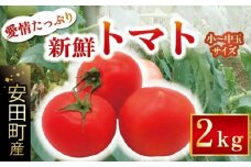 【2025年10月下旬より発送】安田町産 愛情たっぷり新鮮トマト2kg 先行受付 完熟 トマト 高知県産 2kg 産地直送 新鮮 もぎたて 人気 野菜 とまと 栄養 ヘルシー 高知 安田町  TR-11
