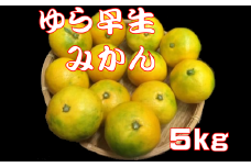 先行予約服部さんが育てた｢ゆら早生みかん｣Mサイズ 5kg 早期予約 家庭用 みかん 5kg Mサイズ 柑橘 蜜柑 ゆら早生 期間限定 季節限定 先行予約 ふるさと納税 人気 高知 安田町 HT-03