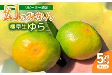 先行予約服部さんが育てた｢ゆら早生みかん｣Mサイズ 5kg 早期予約 家庭用 みかん 5kg Mサイズ 柑橘 蜜柑 ゆら早生 期間限定 季節限定 先行予約 ふるさと納税 人気 高知 安田町 HT-03