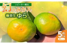 先行予約服部さんが育てた｢ゆら早生みかん｣Mサイズ 5kg 早期予約 家庭用 みかん 5kg Mサイズ 柑橘 蜜柑 ゆら早生 期間限定 季節限定 先行予約 ふるさと納税 人気 高知 安田町 HT-03