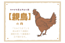 たまごを産み終えた親鶏肉2kg＜浜渦養鶏場＞【1508062】
