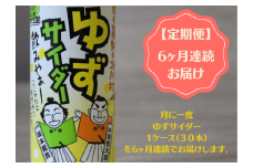 ＜毎月定期便＞ゆずサイダー30本/1ケース全6回【4052673】