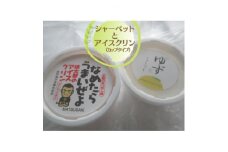 ゆずシャーベットと慎太郎アイスクリン10個【1511952】