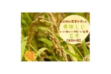 ＜令和7年8月より発送＞北川村の米〈維新の風〉[5kg×5袋]【1521004】