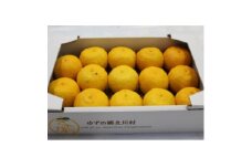 ＜限定30箱＞北川村のゆず玉　1箱(約12個～16個)【1570531】