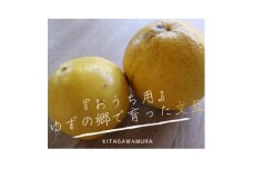 ＜規格外＞北川村の文旦4kg【1593307】