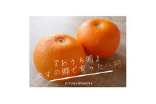 ＜規格外＞北川村の八朔【1601013】