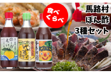 【ゆずポン酢食べ比べ3種セット（360ml×各1本）】ポン酢 ぽん酢 ゆずぽん酢 ゆずポン酢 調味料 ユズ 柚子 ドレッシング 有機 オーガニック 鍋 水炊き 贈答用 ギフト お歳暮 お中元 母の日 父の日 敬老の日 のし 熨斗 産地直送 高知県馬路村【464】